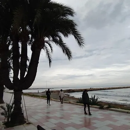 Tamarindo