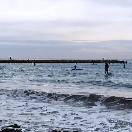 Tamarindo Santa Pola
